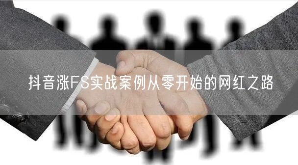 抖音涨FS实战案例从零开始的网红之路
