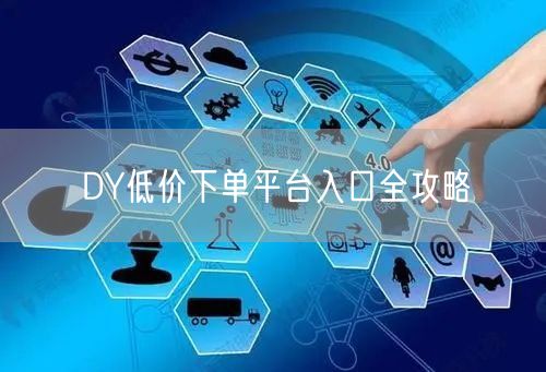 DY低价下单平台入口全攻略