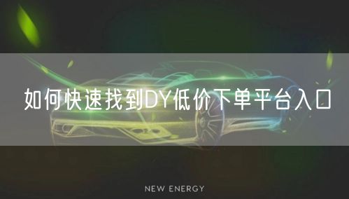 如何快速找到DY低价下单平台入口