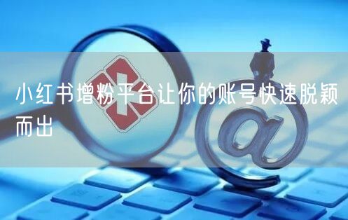 小红书增粉平台让你的账号快速脱颖而出