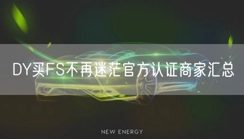 DY买FS不再迷茫官方认证商家汇总