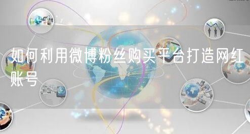 如何利用微博粉丝购买平台打造网红账号
