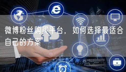微博粉丝购买平台，如何选择最适合自己的方案