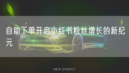 自助下单开启小红书粉丝增长的新纪元