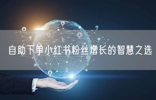 自助下单小红书粉丝增长的智慧之选