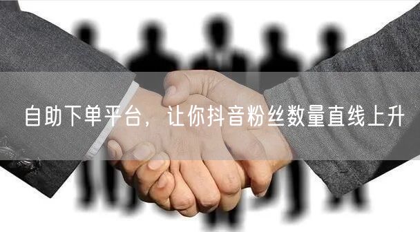 自助下单平台，让你抖音粉丝数量直线上升