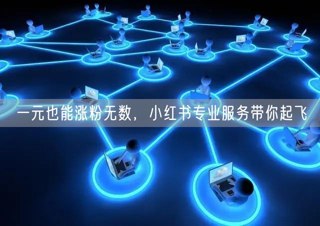 一元也能涨粉无数，小红书专业服务带你起飞
