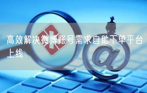 高效解决微博账号需求自助下单平台上线