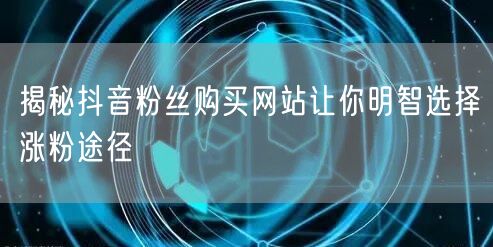 揭秘抖音粉丝购买网站让你明智选择涨粉途径