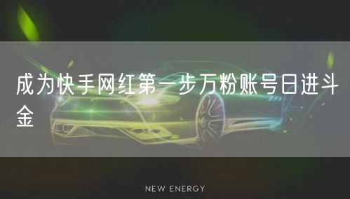 成为快手网红第一步万粉账号日进斗金