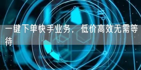 一键下单快手业务，低价高效无需等待